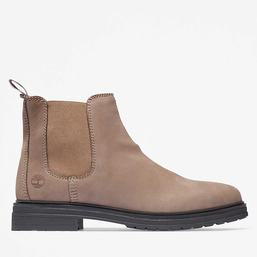 Women's Timberland Hannover Hill Chelsea Boots Beige | UAE-5326179