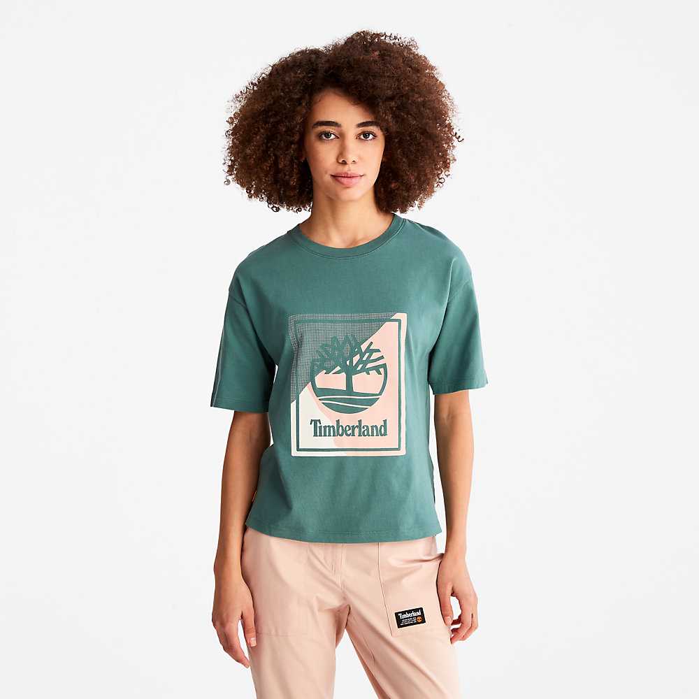 Women's Timberland Logo T Shirts Turquoise | UAE-4896705